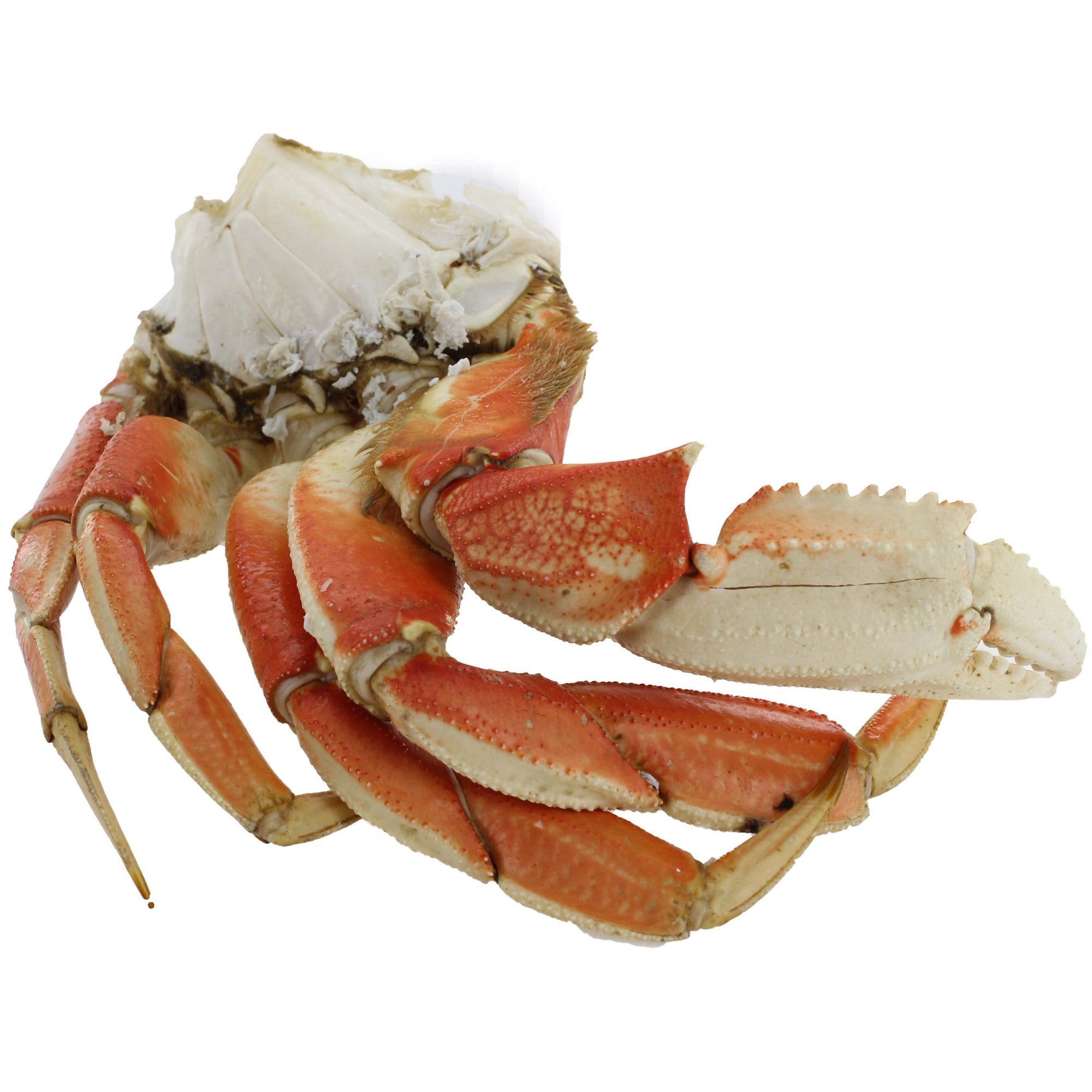 Pacific Dungeness Crab Share - 20 lbs.