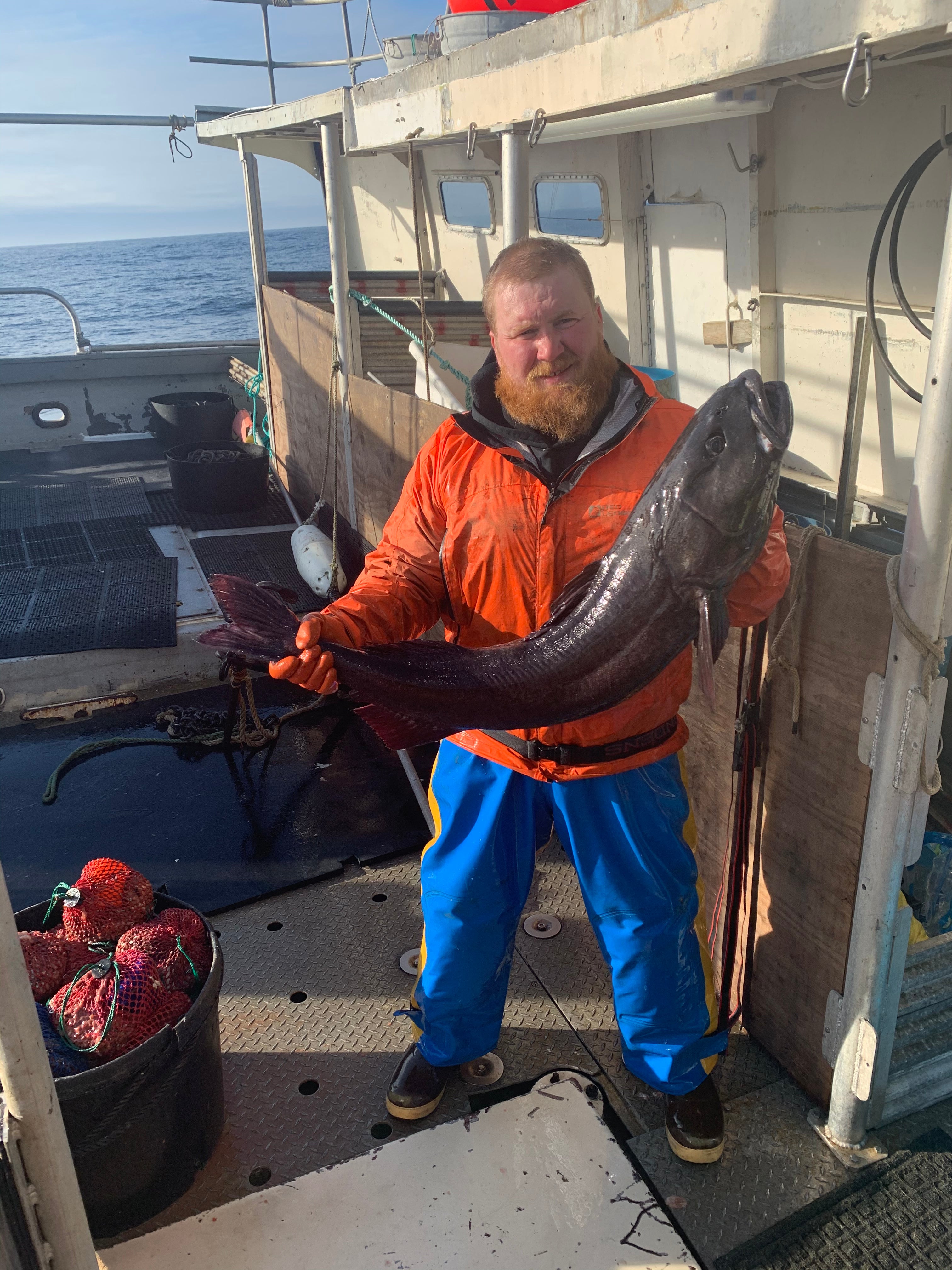 Wild Alaskan Black Cod Share - 20 lbs.