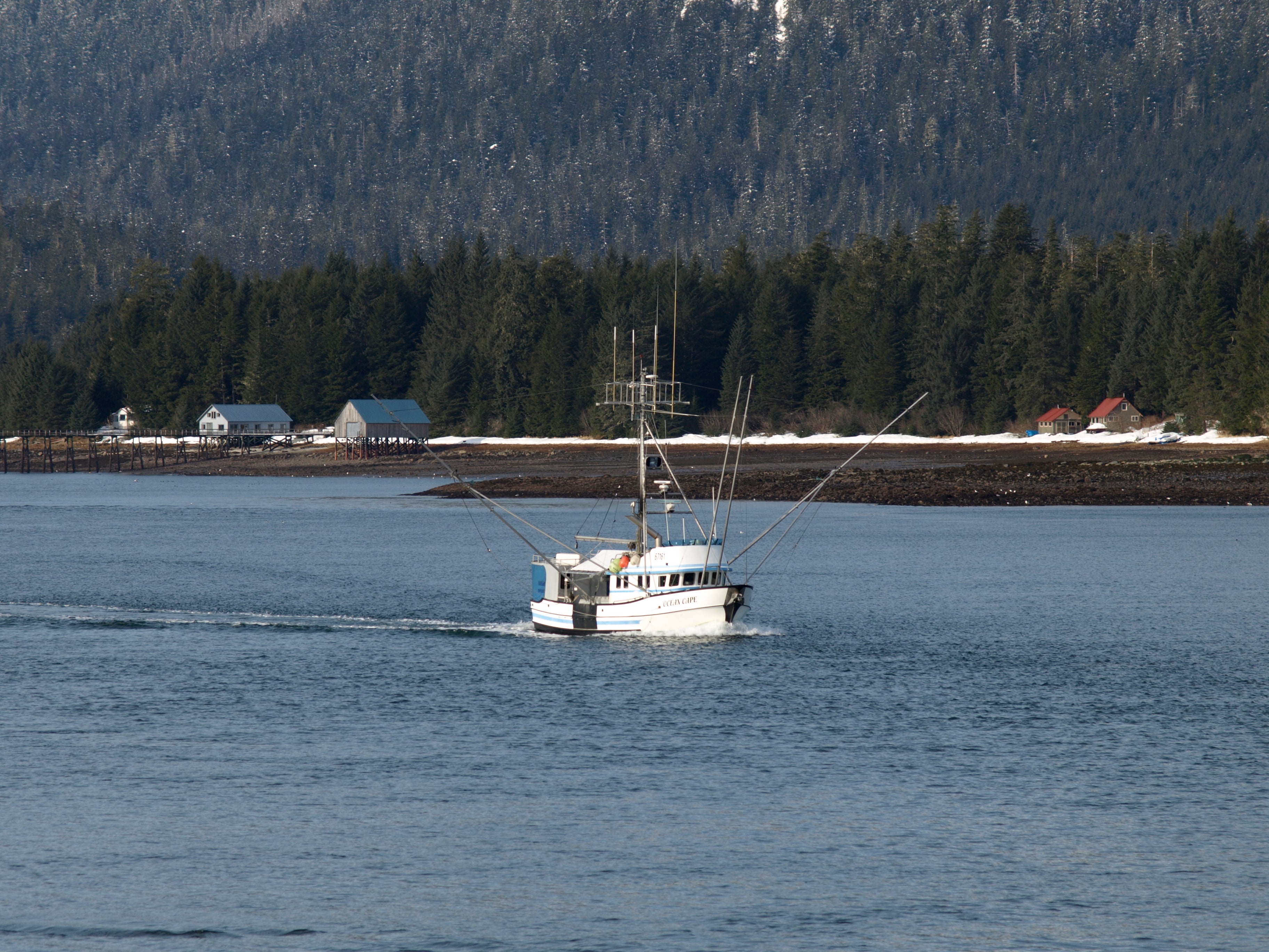 Harry Townsman of Kupreanof Island, AK