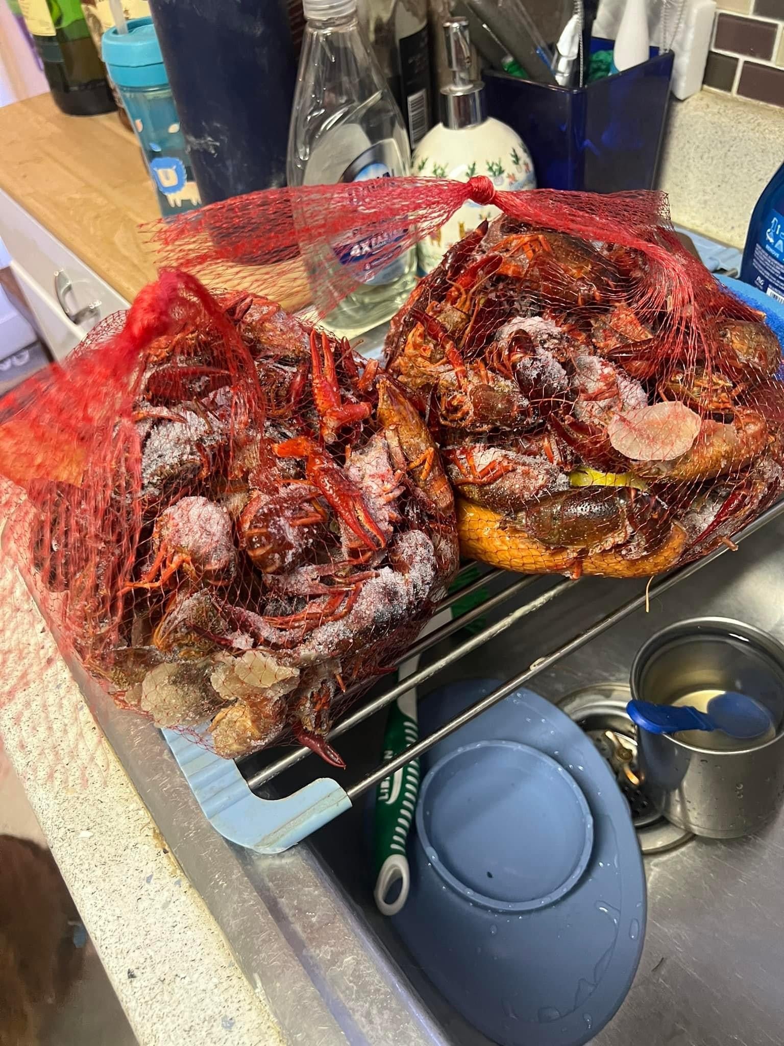 2 Person CRAWFISH Seafood Boil Meal Kit [50% OFF]