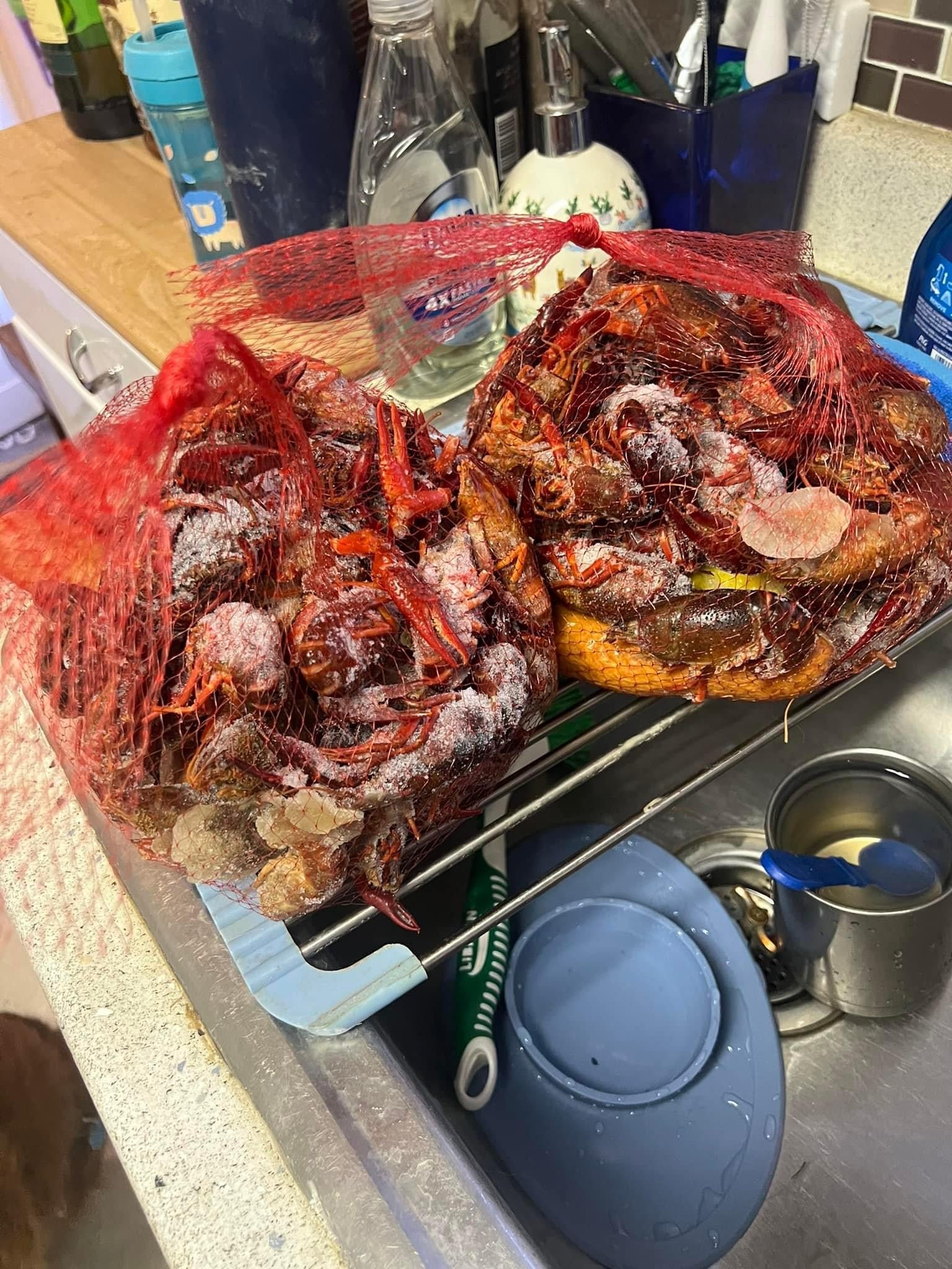 2 Person CRAWFISH Seafood Boil Meal Kit