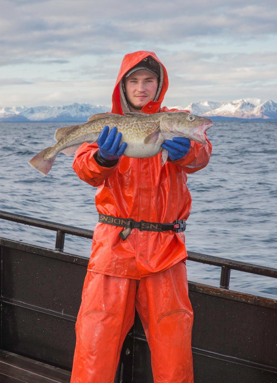 Pacific Cod Roe Alaska Fishermen Shares Pacific Cod - 20 lbs. (IN STORE PICKUP) – Alaskan ...