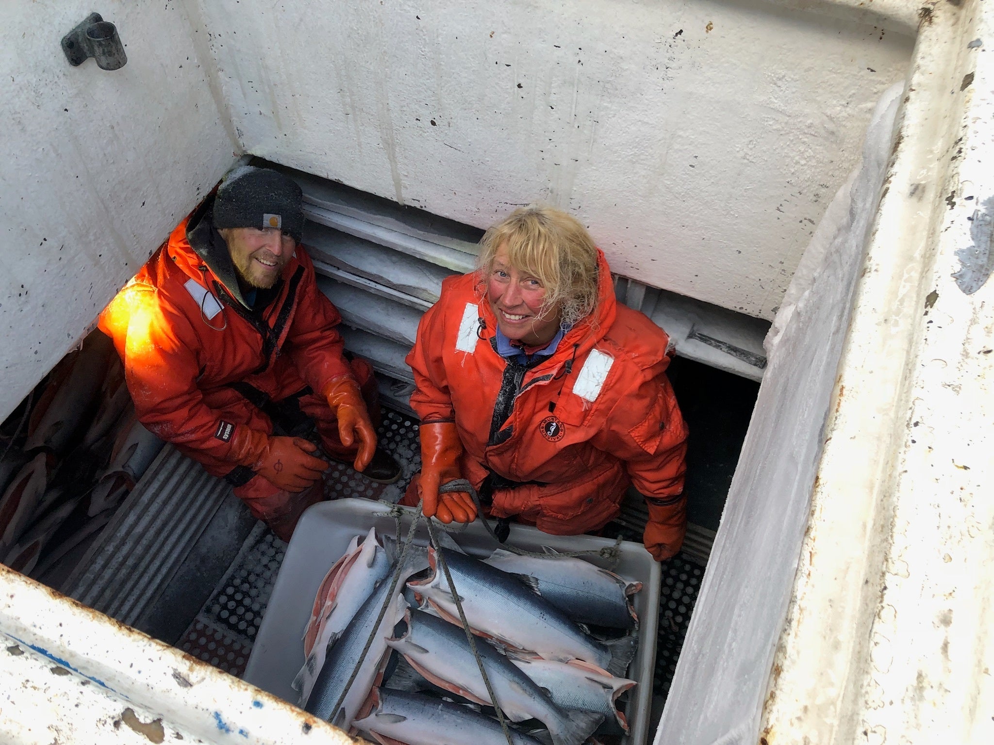 Wild Alaskan Coho Salmon Share - 20 lbs.