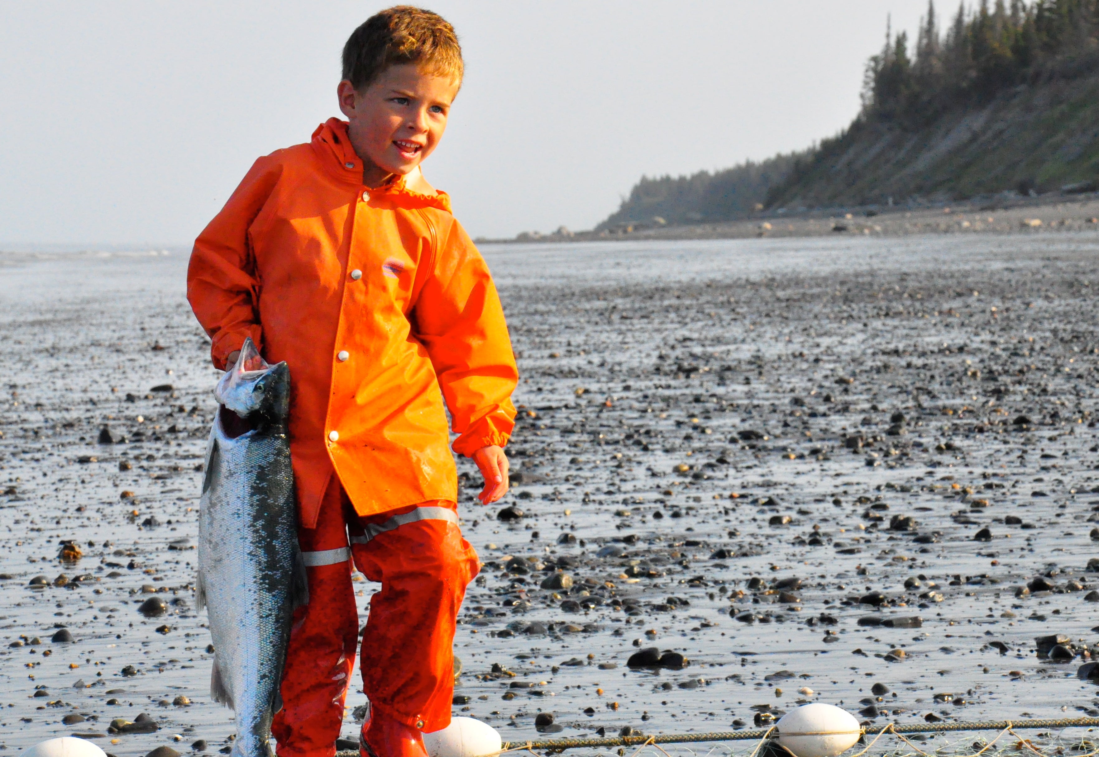 Wild Alaskan Sockeye Salmon Share - 20 lbs.