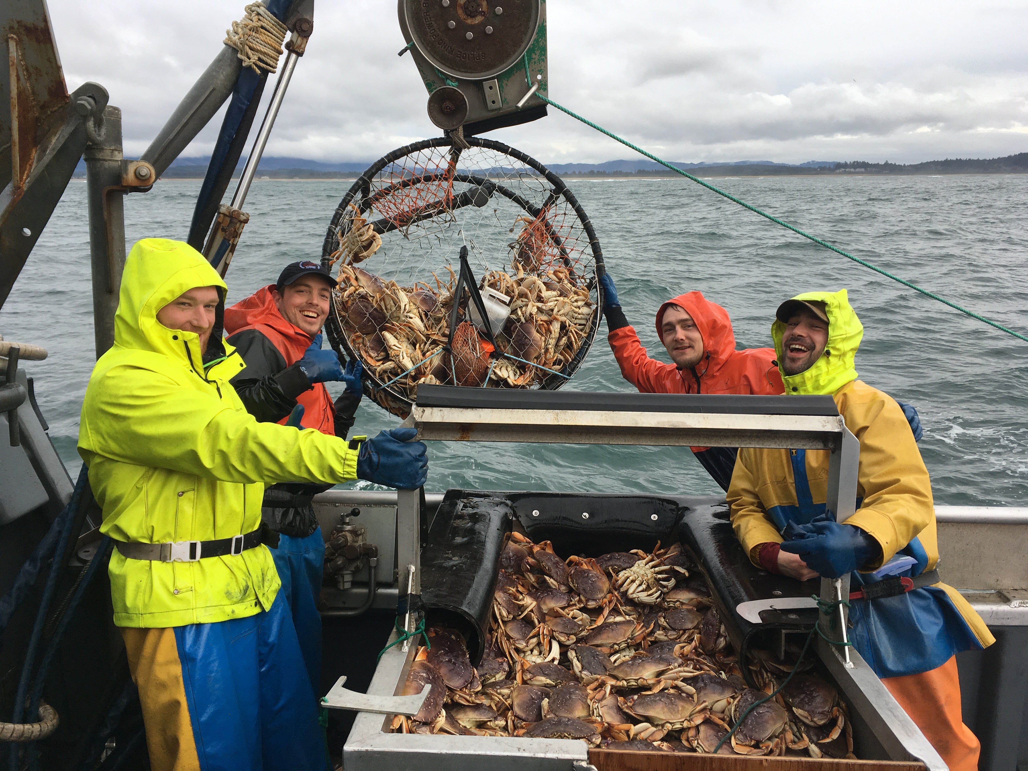 Pacific Dungeness Crab Share - 20 lbs.