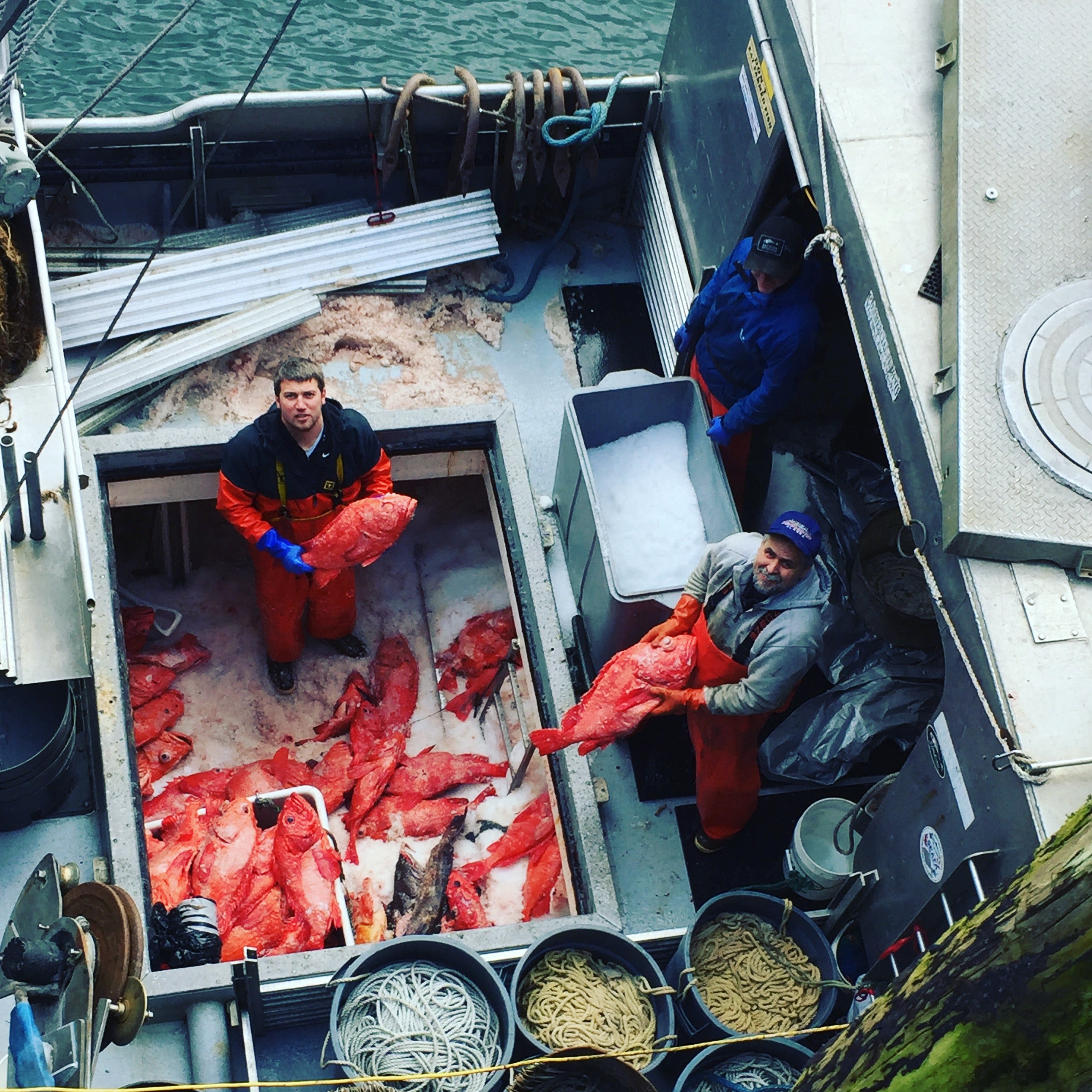 Wild Alaskan Rockfish Share - 20 lbs.