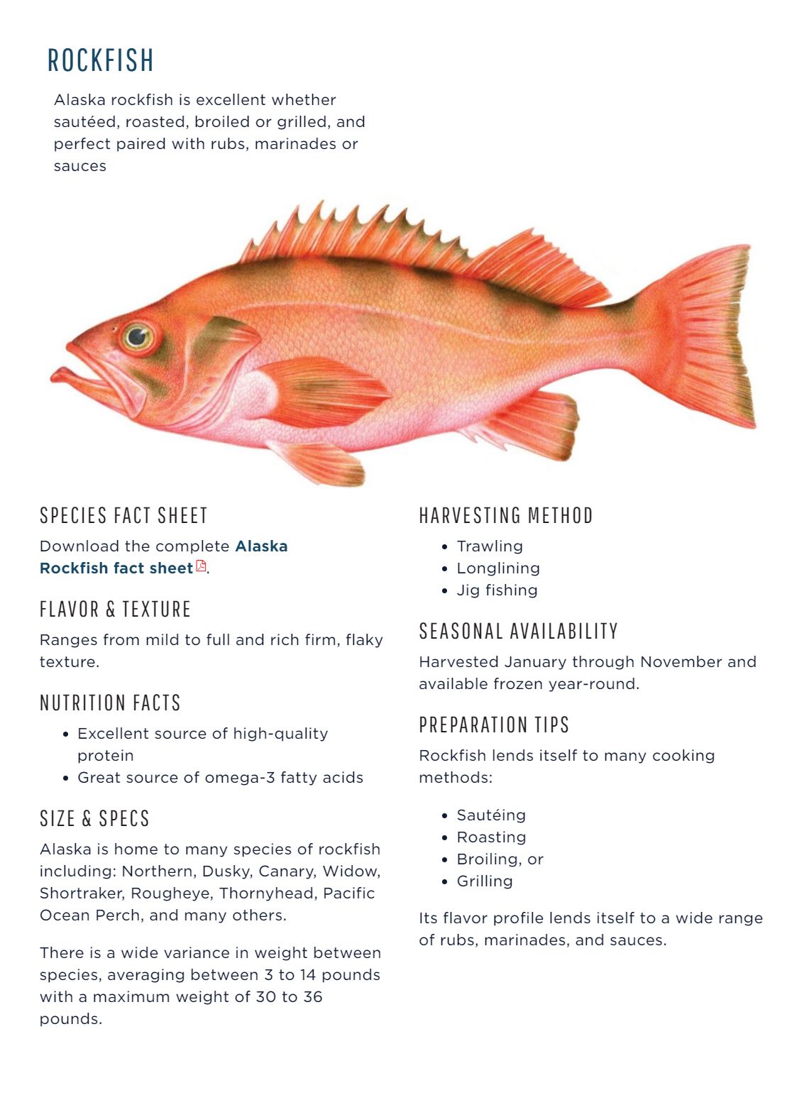 Wild Alaskan Rockfish Share - 20 lbs.
